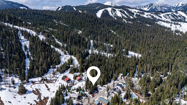 201 Innsbruck Dr, Snoqualmie Pass, WA 98068 - photo 11
