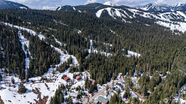 201 Innsbruck Dr, Snoqualmie Pass, WA 98068 - photo 12