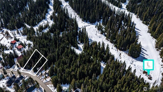 201 Innsbruck Dr, Snoqualmie Pass, WA 98068 - photo 16