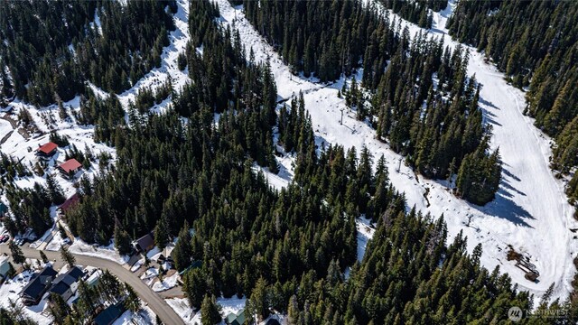 201 Innsbruck Dr, Snoqualmie Pass, WA 98068 - photo 17
