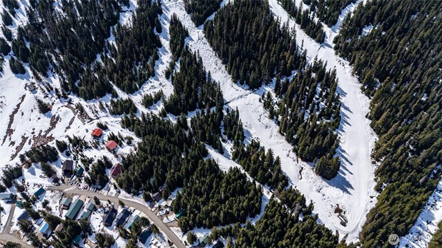 201 Innsbruck Dr, Snoqualmie Pass, WA 98068 - photo 18