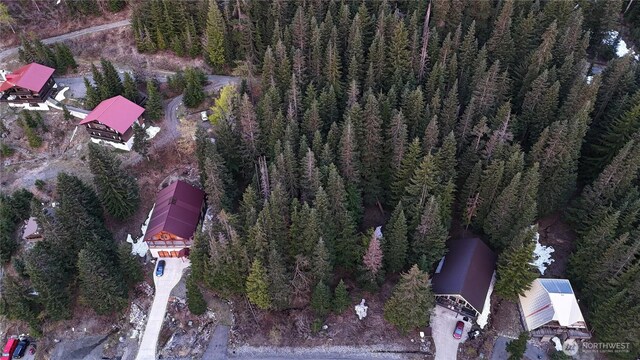 201 Innsbruck Dr, Snoqualmie Pass, WA 98068 - photo 19