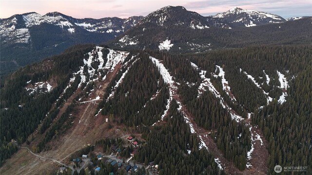 201 Innsbruck Dr, Snoqualmie Pass, WA 98068 - photo 21