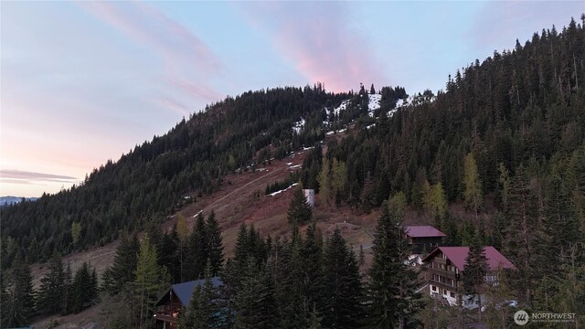 0LOT60 Innsbruck Dr, Snoqualmie Pass, WA 98068 - photo 4