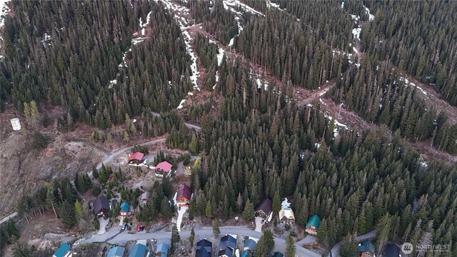 0LOT60 Innsbruck Dr, Snoqualmie Pass, WA 98068 - photo 7
