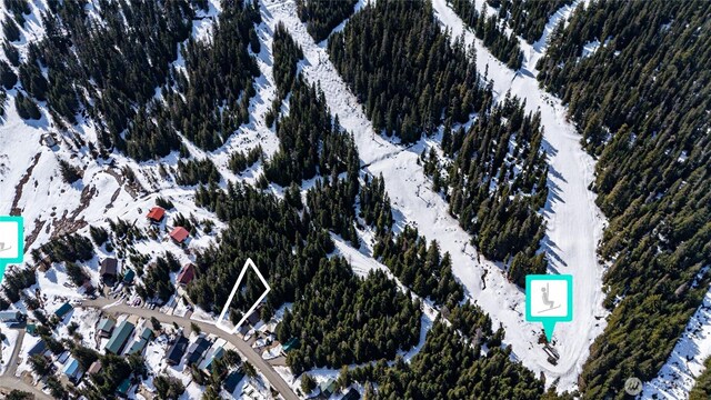 0LOT60 Innsbruck Dr, Snoqualmie Pass, WA 98068 - photo 9