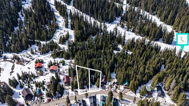0LOT60 Innsbruck Dr, Snoqualmie Pass, WA 98068 - photo 13