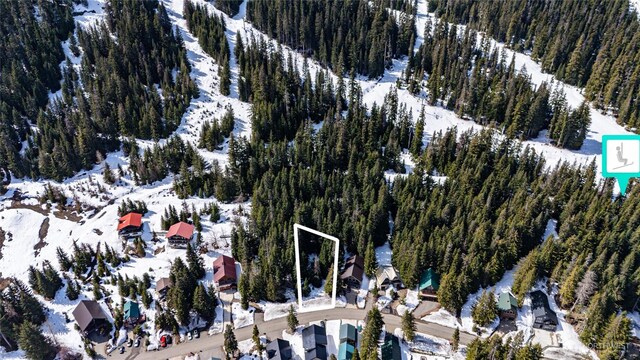 0LOT60 Innsbruck Dr, Snoqualmie Pass, WA 98068 - photo 14