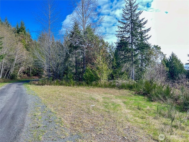 1634 Sunrise Rd, Brinnon, WA 98320 - photo 8