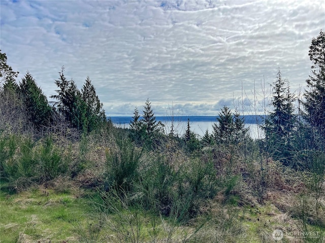 1634 Sunrise Rd, Brinnon, WA 98320 - photo 11