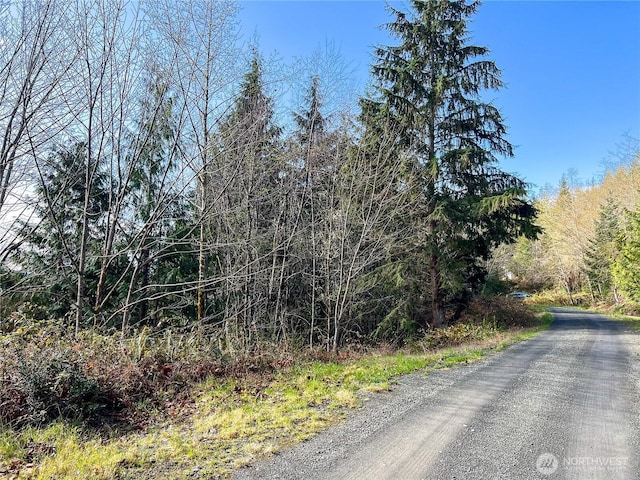 1634 Sunrise Rd, Brinnon, WA 98320 - photo 9