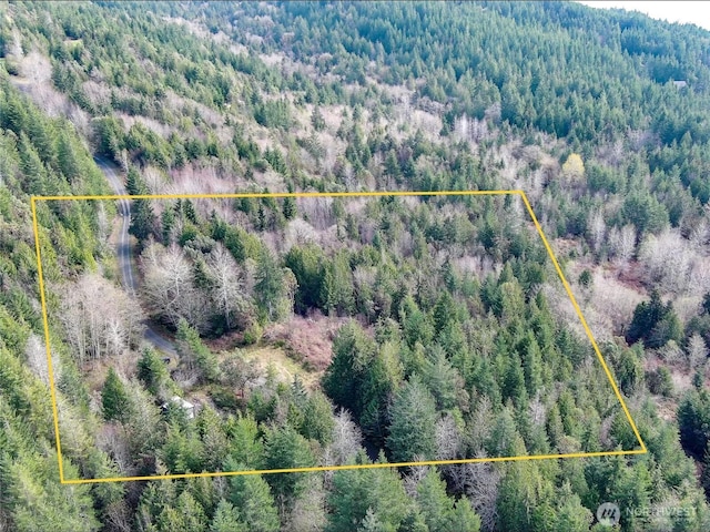 1634 Sunrise Rd, Brinnon, WA 98320 - photo 14