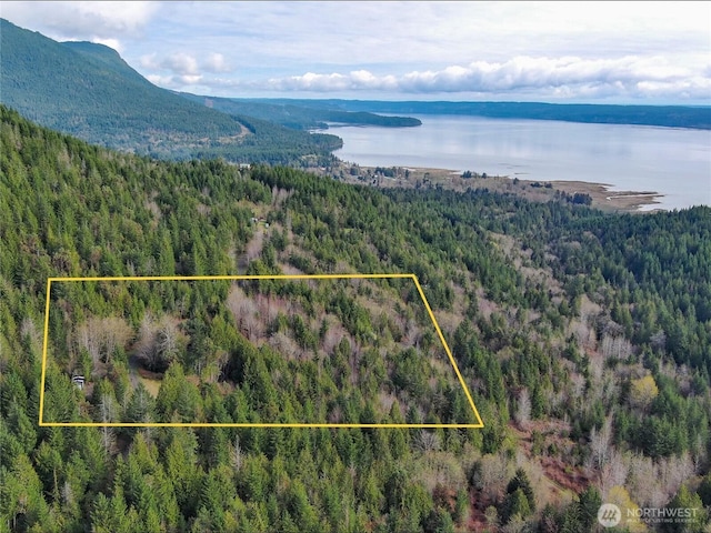 1634 Sunrise Rd, Brinnon, WA 98320 - photo 15