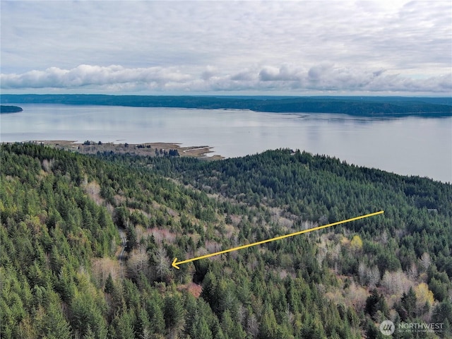 1634 Sunrise Rd, Brinnon, WA 98320 - photo 17