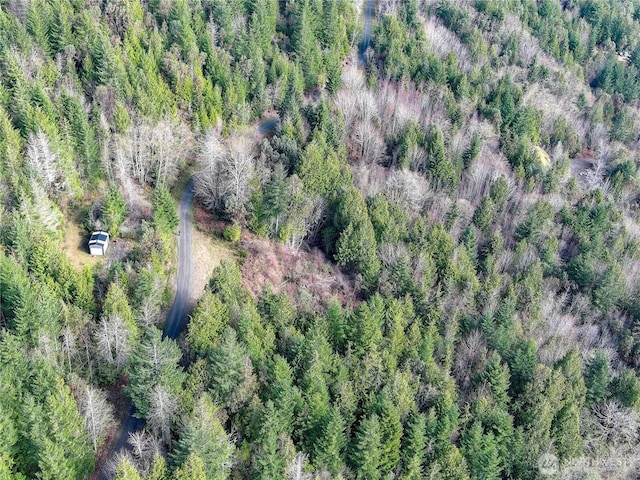 1634 Sunrise Rd, Brinnon, WA 98320 - photo 21
