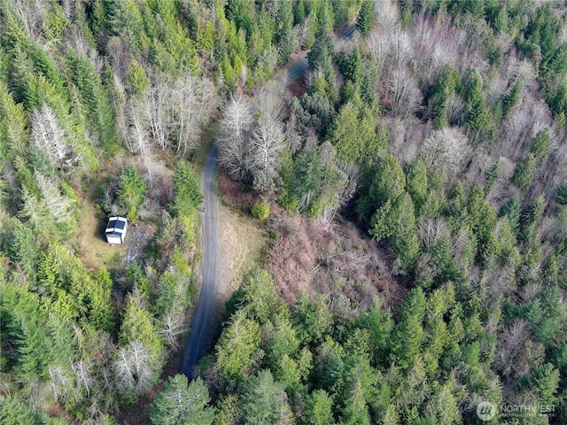 1634 Sunrise Rd, Brinnon, WA 98320 - photo 23