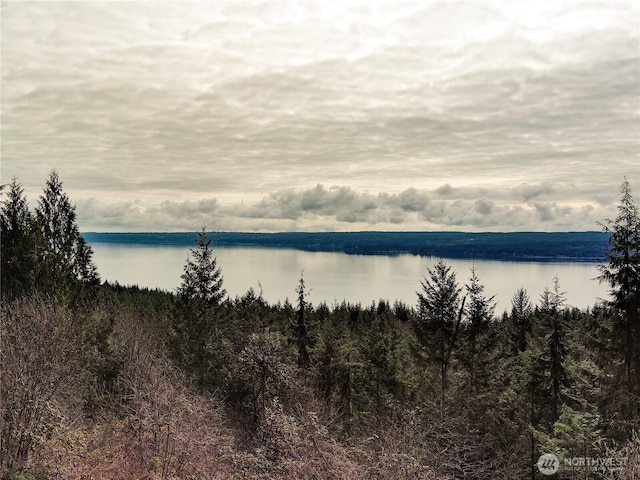 1634 Sunrise Rd, Brinnon, WA 98320 - photo 1