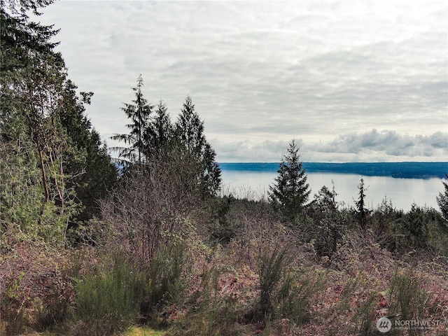 1634 Sunrise Rd, Brinnon, WA 98320 - photo 24
