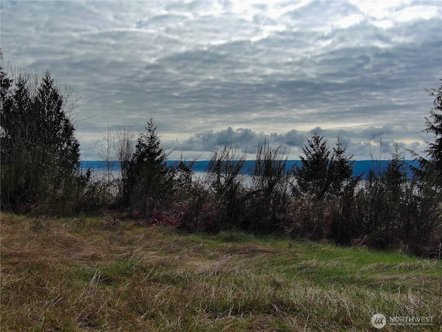 1634 Sunrise Rd, Brinnon, WA 98320 - photo 25