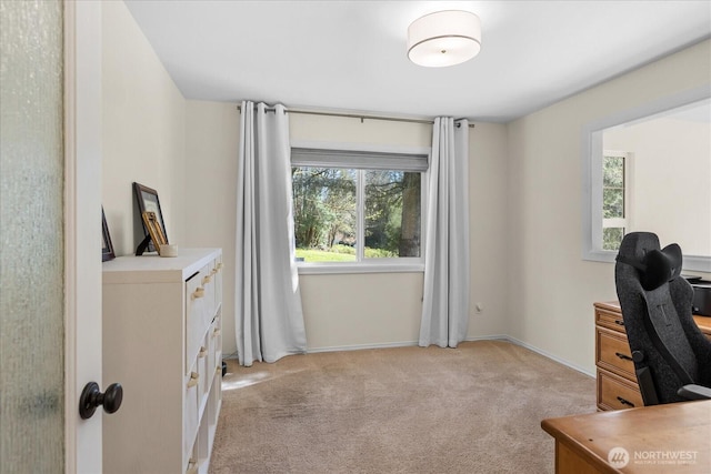 office space with light colored carpet and baseboards
