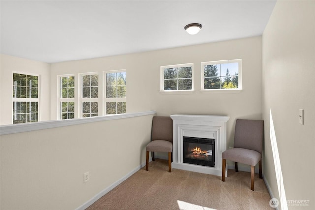 living area with carpet floors, baseboards, plenty of natural light, and a glass covered fireplace