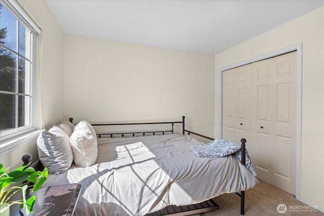 bedroom featuring carpet flooring and a closet