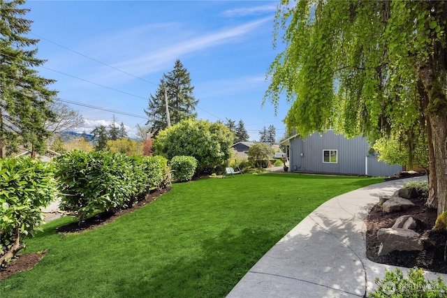 9115 SE 72nd Pl, Mercer Island, WA 98040 - view of yard