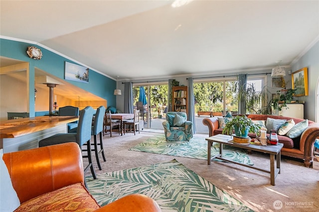 69 N Pt, Bellingham, WA 98229 - living area featuring lofted ceiling, ornamental molding, and carpet
