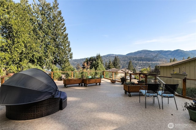 69 N Pt, Bellingham, WA 98229 - view of patio featuring a mountain view and grilling area