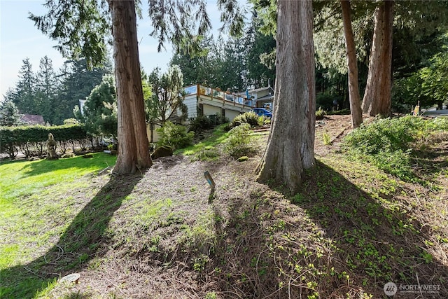 69 N Pt, Bellingham, WA 98229 - view of yard