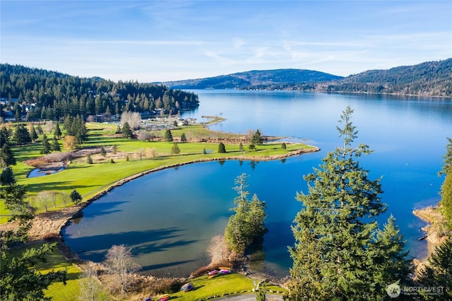 69 N Pt, Bellingham, WA 98229 - birds eye view of property with a water and mountain view
