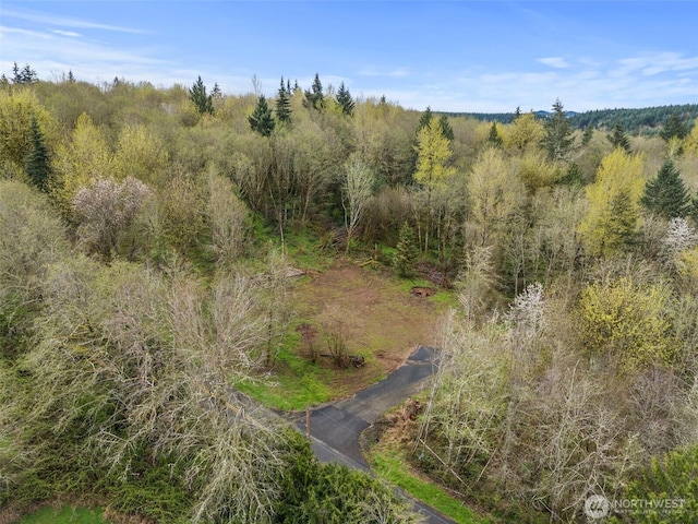 10931 Lundeen Rd SW, Rochester, WA 98579 - photo 1