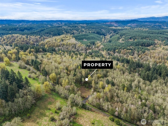 10931 Lundeen Rd SW, Rochester, WA 98579 - photo 2