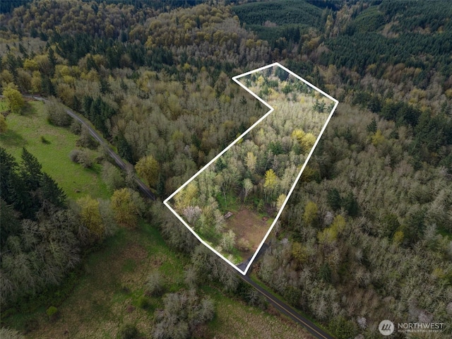 10931 Lundeen Rd SW, Rochester, WA 98579 - photo 4
