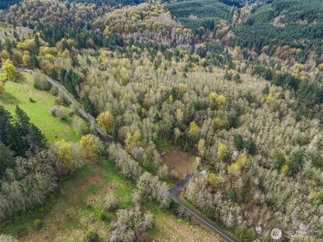10931 Lundeen Rd SW, Rochester, WA 98579 - photo 5