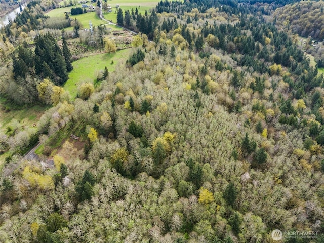10931 Lundeen Rd SW, Rochester, WA 98579 - photo 8