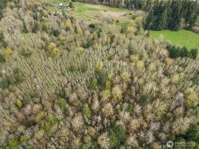 10931 Lundeen Rd SW, Rochester, WA 98579 - photo 9