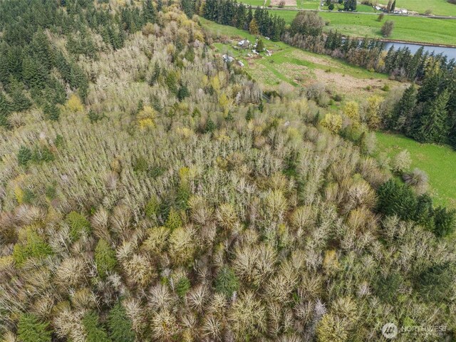 10931 Lundeen Rd SW, Rochester, WA 98579 - photo 10