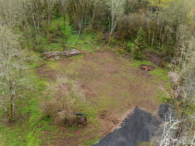 10931 Lundeen Rd SW, Rochester, WA 98579 - photo 11