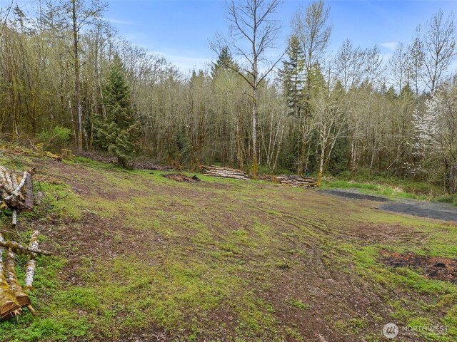 10931 Lundeen Rd SW, Rochester, WA 98579 - photo 12