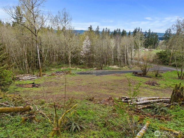 10931 Lundeen Rd SW, Rochester, WA 98579 - photo 13