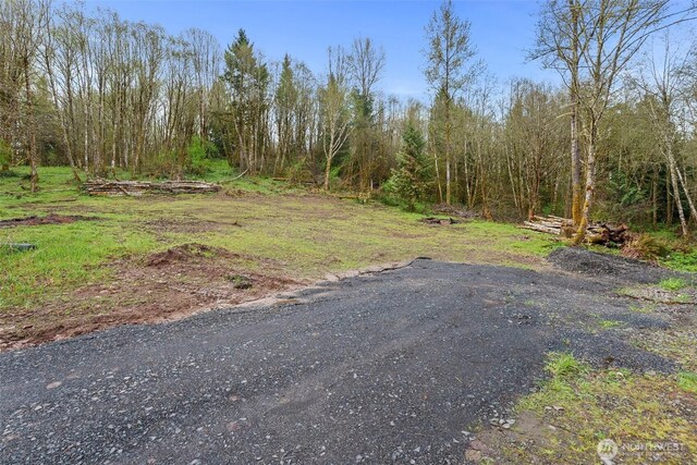 10931 Lundeen Rd SW, Rochester, WA 98579 - photo 14