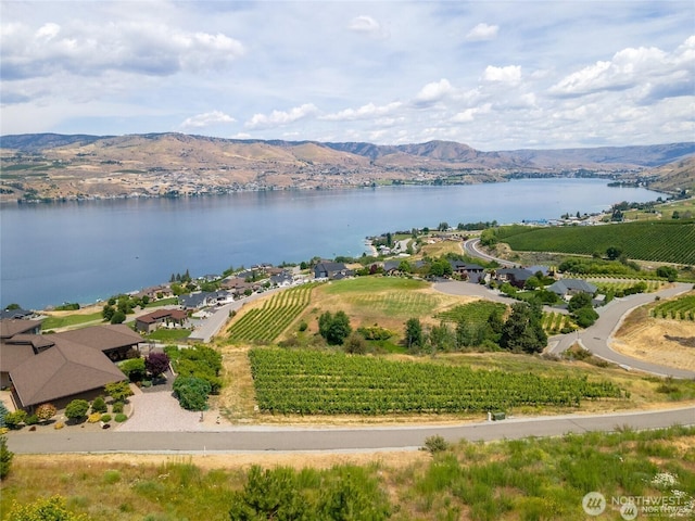 149 Mirabella Dr, Chelan, WA 98816