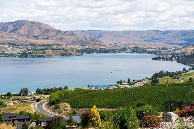 149 Mirabella Dr, Chelan, WA 98816