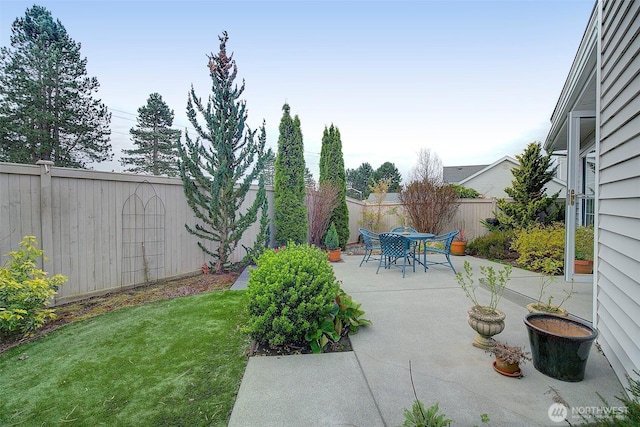 view of yard with a patio area and a fenced backyard