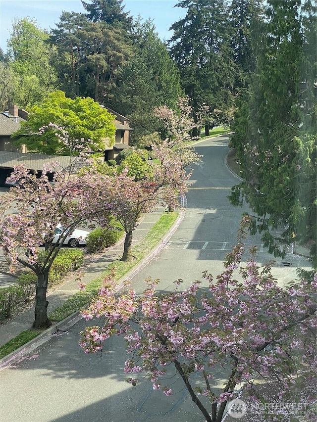 view of street with curbs and sidewalks