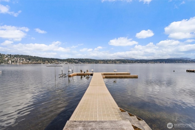dock area with a water view