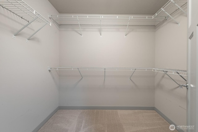 111 17th Ave Unit B, Seattle, WA 98112 - walk in closet featuring carpet