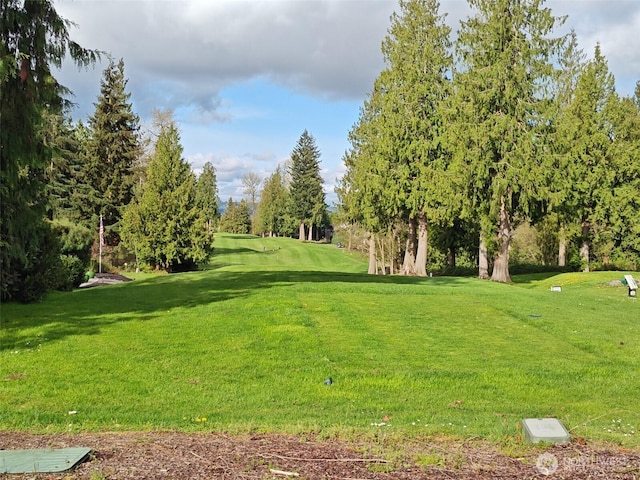 view of community with a yard