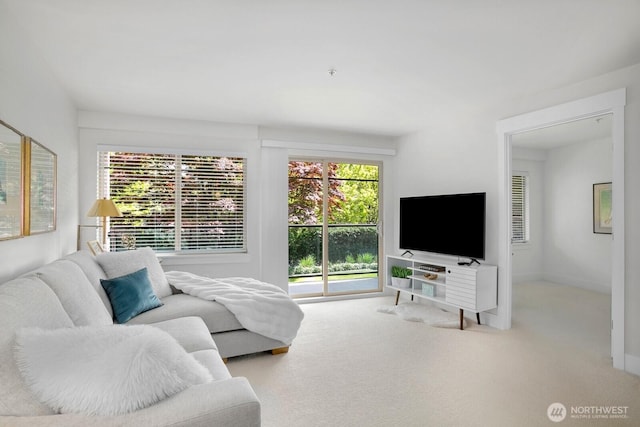 living area with carpet floors